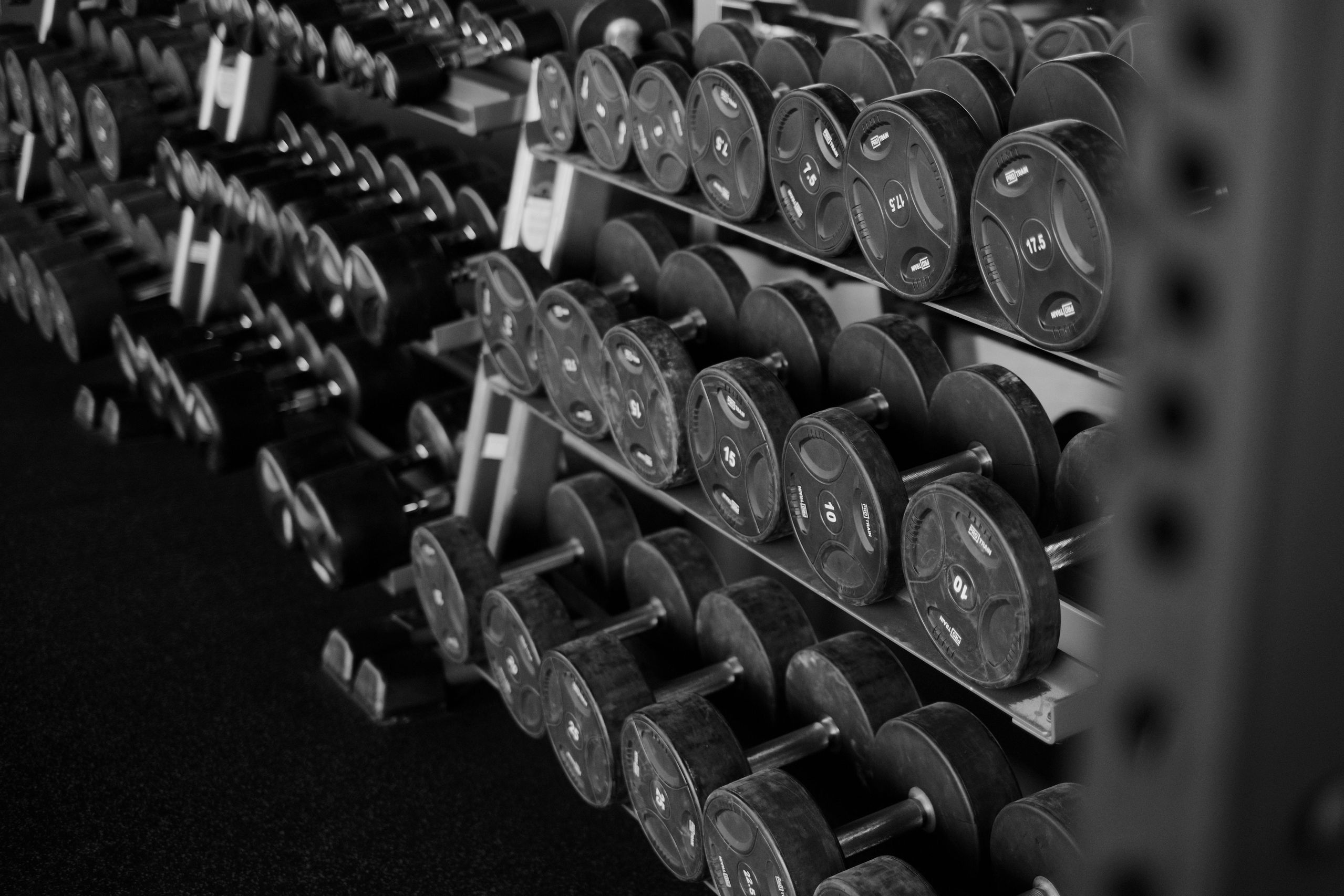free weights training room